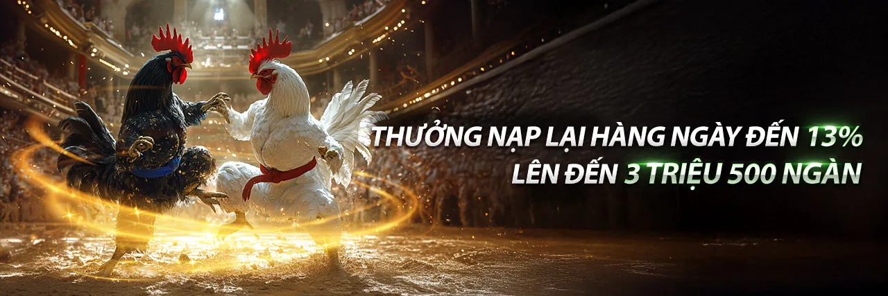Sân chơi đá gà trực tuyến kịch tính tại GA888 Nổ Hũ